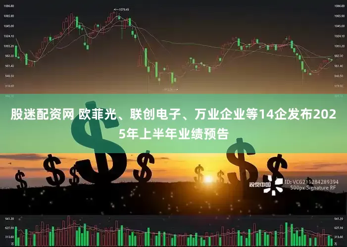 股迷配资网 欧菲光、联创电子、万业企业等14企发布2025年上半年业绩预告