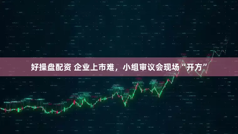 好操盘配资 企业上市难，小组审议会现场“开方”