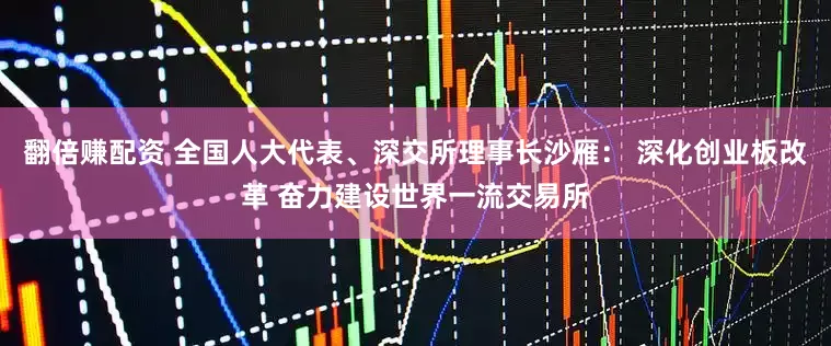 翻倍赚配资 全国人大代表、深交所理事长沙雁： 深化创业板改革 奋力建设世界一流交易所